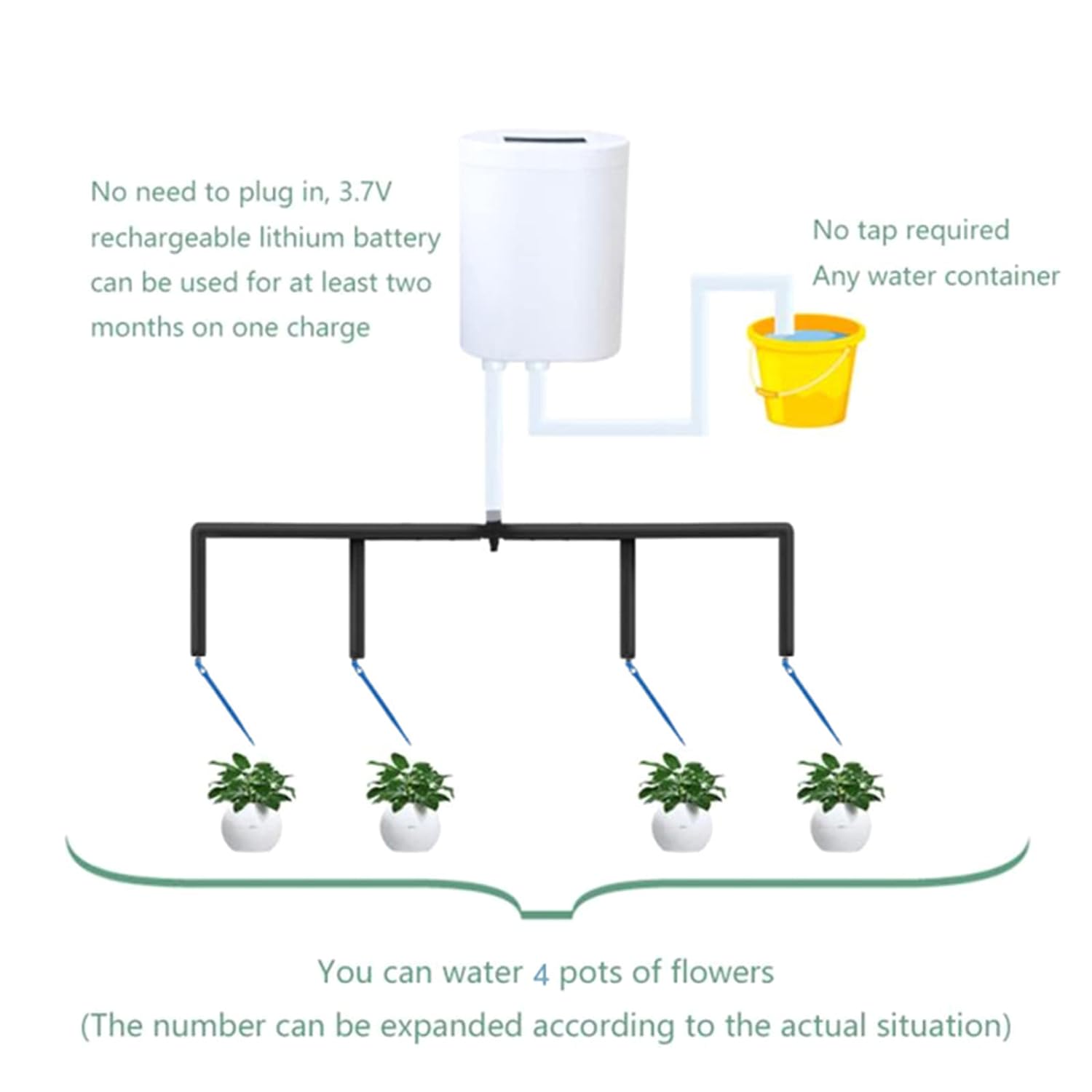 Automatico Pianta Fiore Pompa  - Home Improvement Tool Time recensione e prezzo